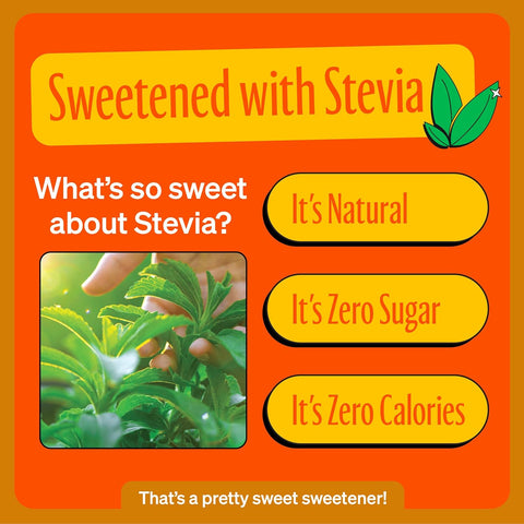 Zevia Zero Calorie Soda, Orange, 12 Ounce Cans (Pack of 6)